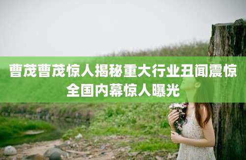 曹茂曹茂惊人揭秘重大行业丑闻震惊全国内幕惊人曝光