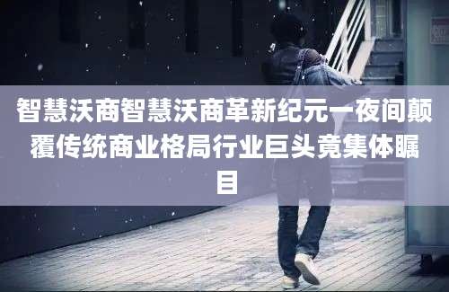 智慧沃商智慧沃商革新纪元一夜间颠覆传统商业格局行业巨头竟集体瞩目