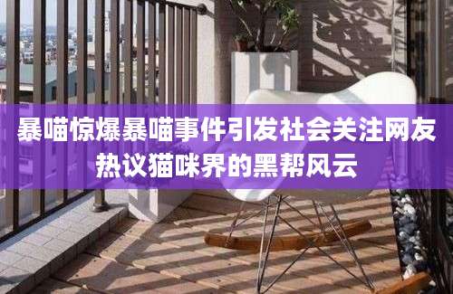 暴喵惊爆暴喵事件引发社会关注网友热议猫咪界的黑帮风云