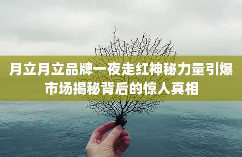 月立月立品牌一夜走红神秘力量引爆市场揭秘背后的惊人真相