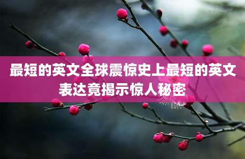 最短的英文全球震惊史上最短的英文表达竟揭示惊人秘密