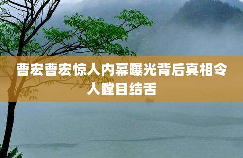 曹宏曹宏惊人内幕曝光背后真相令人瞠目结舌