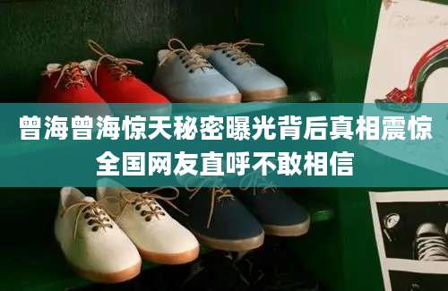 曾海曾海惊天秘密曝光背后真相震惊全国网友直呼不敢相信