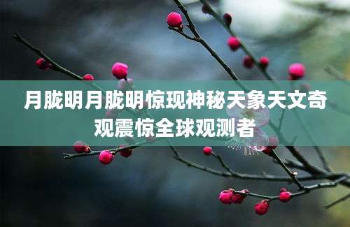 月胧明月胧明惊现神秘天象天文奇观震惊全球观测者