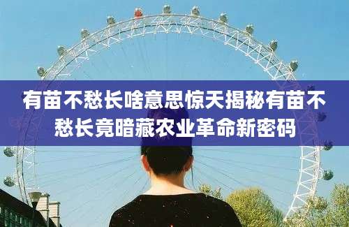 有苗不愁长啥意思惊天揭秘有苗不愁长竟暗藏农业革命新密码