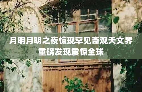 月明月明之夜惊现罕见奇观天文界重磅发现震惊全球