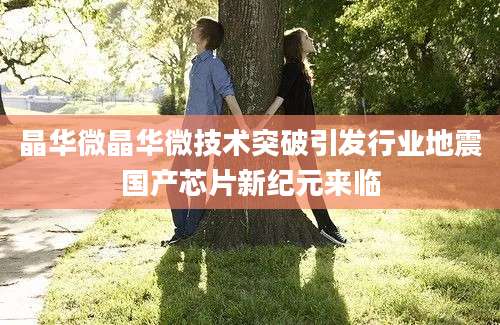 晶华微晶华微技术突破引发行业地震国产芯片新纪元来临