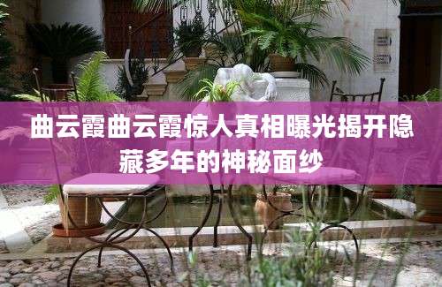 曲云霞曲云霞惊人真相曝光揭开隐藏多年的神秘面纱