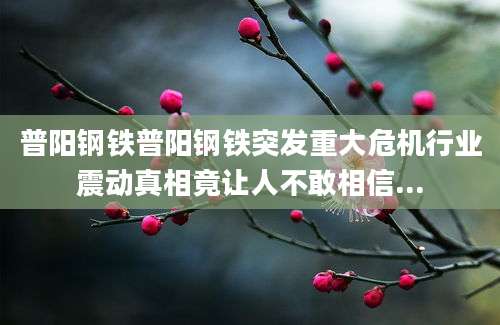 普阳钢铁普阳钢铁突发重大危机行业震动真相竟让人不敢相信...