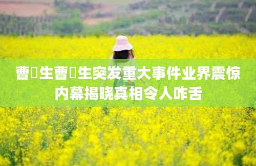 曹芃生曹芃生突发重大事件业界震惊内幕揭晓真相令人咋舌