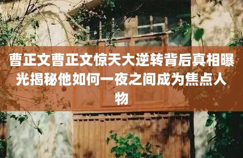 曹正文曹正文惊天大逆转背后真相曝光揭秘他如何一夜之间成为焦点人物