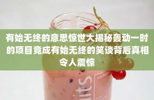 有始无终的意思惊世大揭秘轰动一时的项目竟成有始无终的笑谈背后真相令人震惊