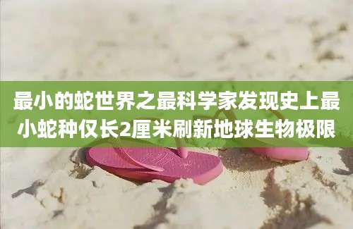 最小的蛇世界之最科学家发现史上最小蛇种仅长2厘米刷新地球生物极限