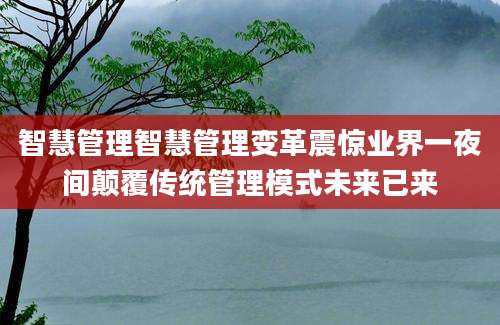 智慧管理智慧管理变革震惊业界一夜间颠覆传统管理模式未来已来
