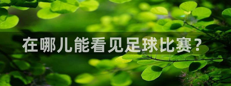 在哪儿能看见足球比赛？