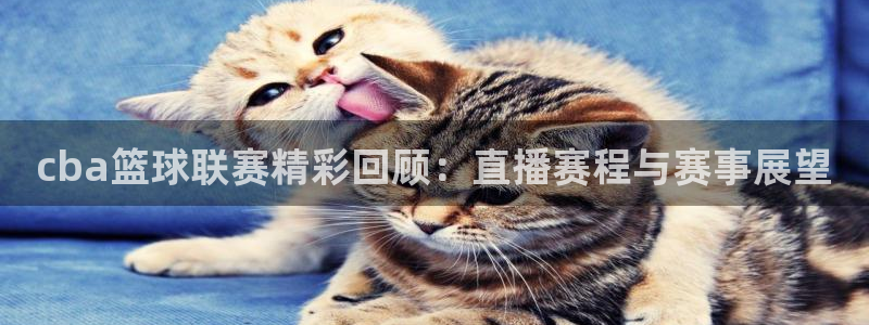 cba篮球联赛精彩回顾：直播赛程与赛事展望