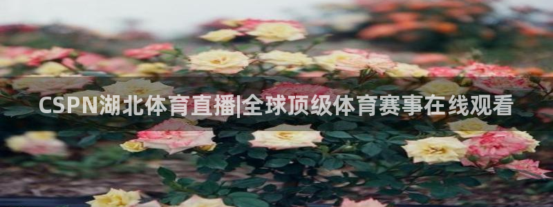 CSPN湖北体育直播|全球顶级体育赛事在线观看