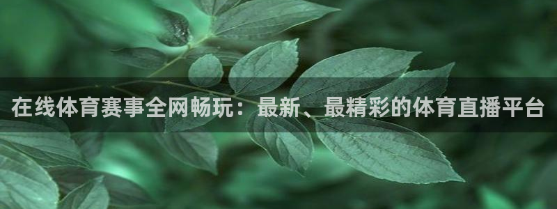 在线体育赛事全网畅玩：最新、最精彩的体育直播平台