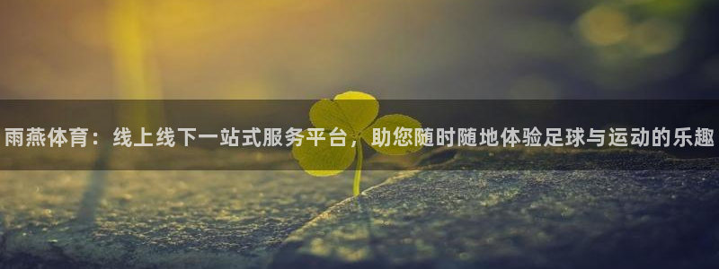 雨燕体育：线上线下一站式服务平台，助您随时随地体验足球与运动的乐趣
