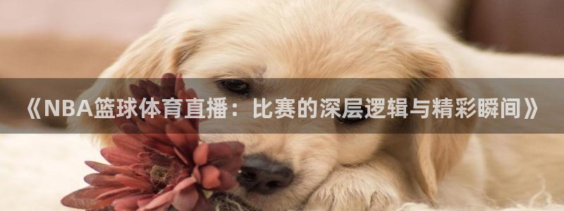 《NBA篮球体育直播：比赛的深层逻辑与精彩瞬间》