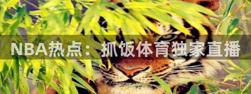 NBA热点：抓饭体育独家直播